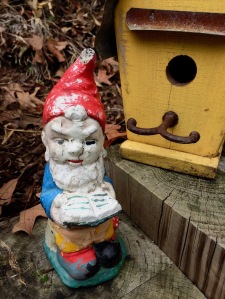 Gnome waiting to be rehomed