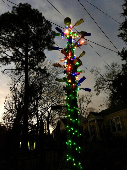Cedar bottle tree at night lit up with strings of colourful lights