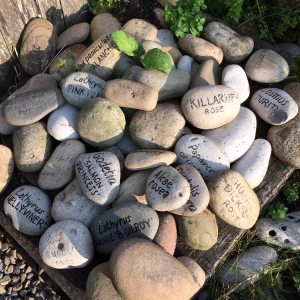 Pile of pebbles, some pained with plant names
