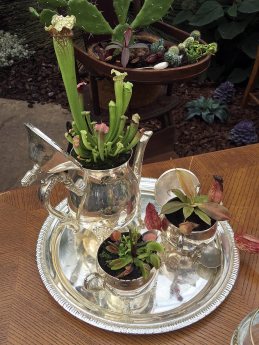 Teapot, sugar bowl and milk jug planters