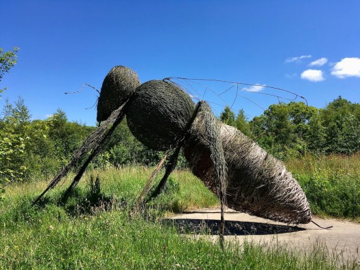 Giant bee made from wicker