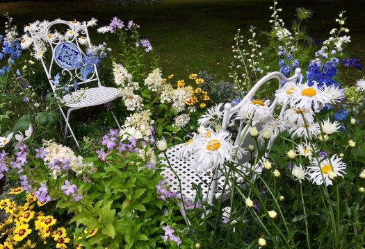 White metal garden chairs surrounded by delphiniums, daisies and other flowers