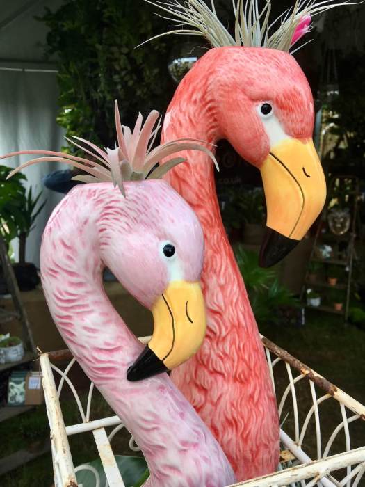Flamingo head and neck indoor plant pots with small potted plants for a crest